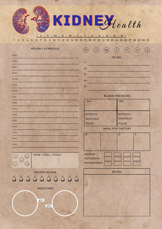 Kidney tracker digital planning insert sheet printable page templateの写真素材