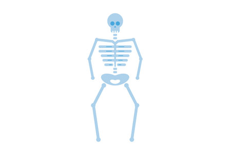 skeleton colored icon Halloween symbol app and web sign artの写真素材