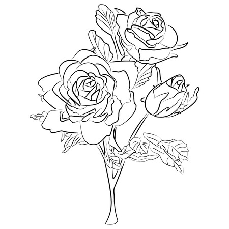 ink sketch of a black and white roseのイラスト素材