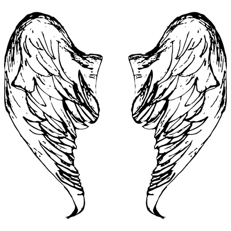 Wings sketch cartoon illustration ink sketch wings engravingのイラスト素材