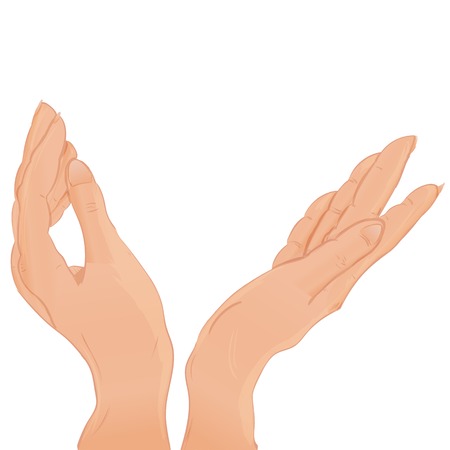 cartoon two female hands holding something vectorのイラスト素材