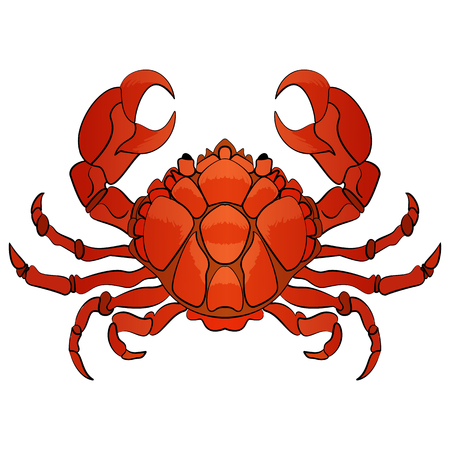 Vector hand drawn cartoon illustration crab character, lifting up claws, isolated on white background.のイラスト素材