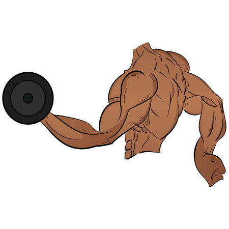 Muscular bodybuilder guy doing exercises with dumbbellsのイラスト素材