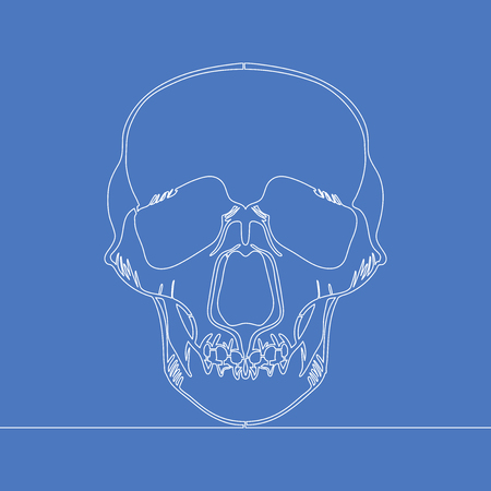 Contour drawing continuous one line human skull vector illustration conceptのイラスト素材