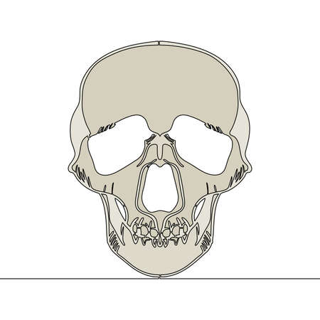 Flat colorful continuous drawing line art human skull icon vector illustration conceptのイラスト素材