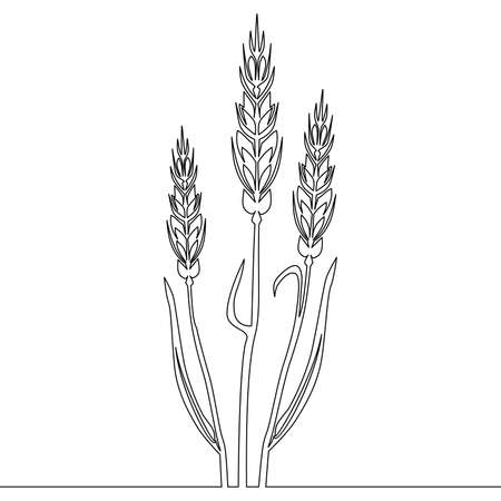 Continuous one single line drawing Ears of wheat icon vector illustration conceptのイラスト素材