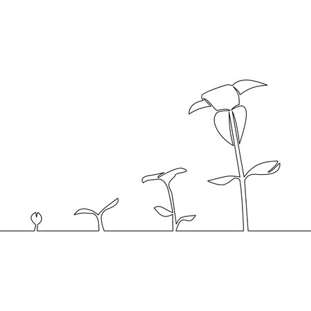 Continuous one single line drawing Phase of plant growing icon vector illustration conceptのイラスト素材