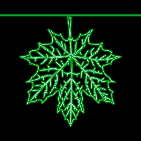 Continuous one single line drawing Maple leaf icon neon glow vector illustration conceptのイラスト素材