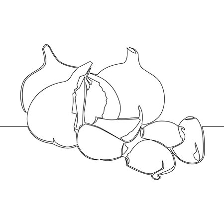 Continuous one single line drawing healthy organic garlic for plantation vegetable icon vector illustration conceptのイラスト素材
