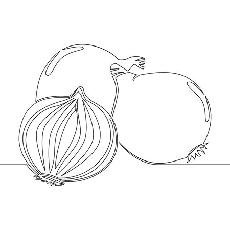 Continuous one single line drawing Onion whole bulb and half cut icon vector illustration conceptのイラスト素材