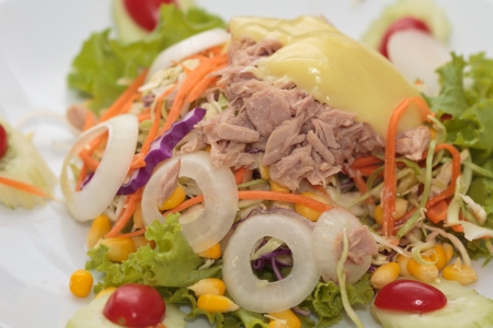 Tuna and vegetable saladの写真素材