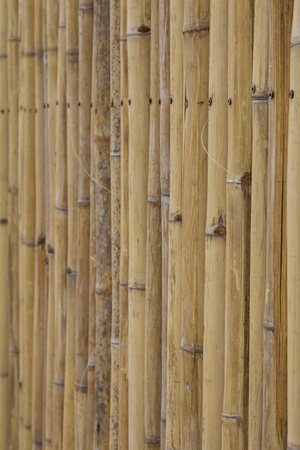 Bamboo wall backgroundの写真素材