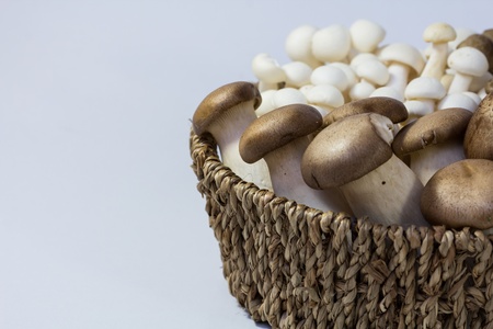 Assorted mushrooms in a basket on a white background.の写真素材