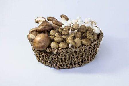 Assorted mushrooms in a basket on a white background.