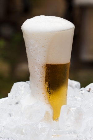 Cold beer in glass with bubbles.の写真素材