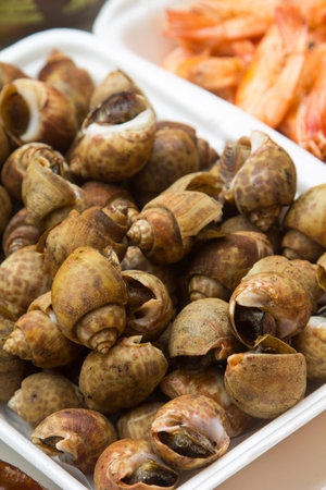 Bowl of Delicious Fresh Steamer Clams