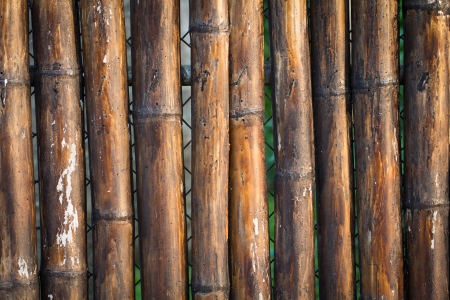 Asian style bamboo background made ââof beautifulの写真素材
