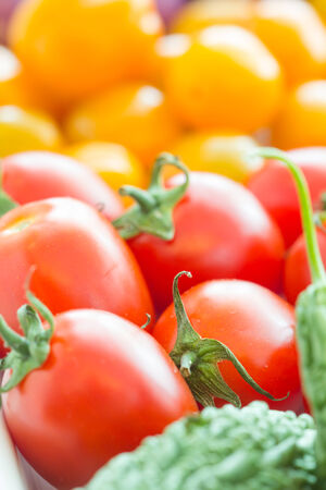 tomatoes colorful appetizingの写真素材