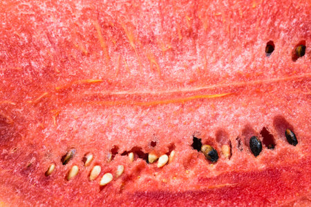 Profile picture of watermelon as a backdrop.の写真素材