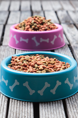 Dog food in a bowl on wooden table