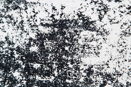 Black and white の写真素材