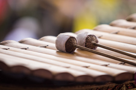 Bat marimba on xylophoneの写真素材