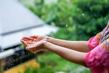 women hand with rain on the gardenの写真素材