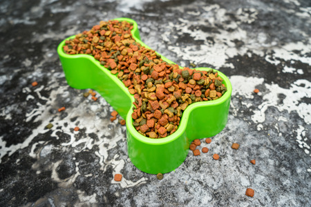 Dog food in a bone bowl shapedの写真素材