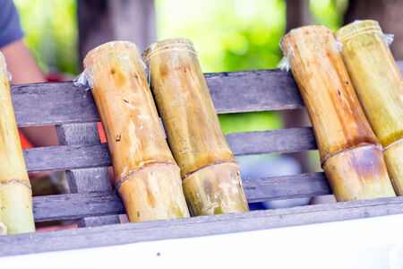 sweet glutinous rice roasted in bamboo for thai   Desserts menuの写真素材