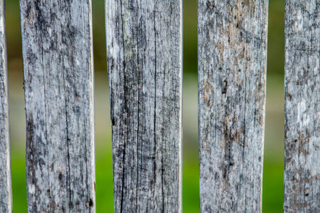 close up wooden fence in the gardenの写真素材