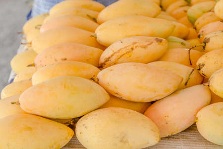 ripe mangoes in the marketの写真素材