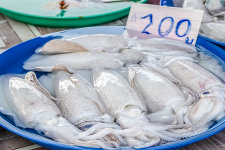 Squid on tray in market