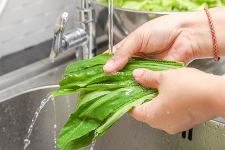 Washing fresh vegetable for cookingの写真素材