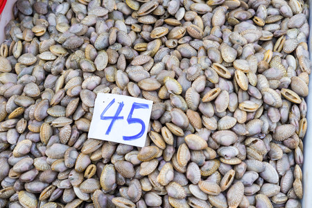 Fresh clam shells in the fresh marketの写真素材