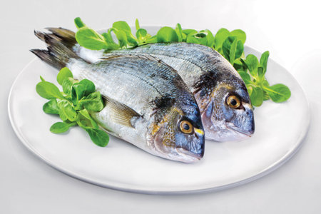 Dorada fish with salad on the white plate  Studio shot