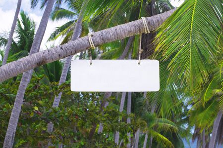 Wooden signboard on a palm tree at the beach barの写真素材