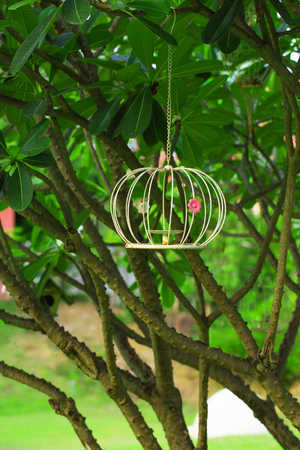 Decorative cage on a tree branch in the gardenの写真素材