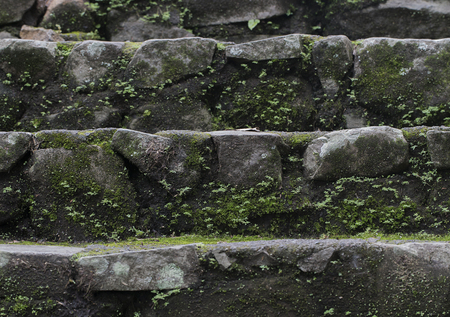 Old wet stone steps filled with moss, macro textureの写真素材