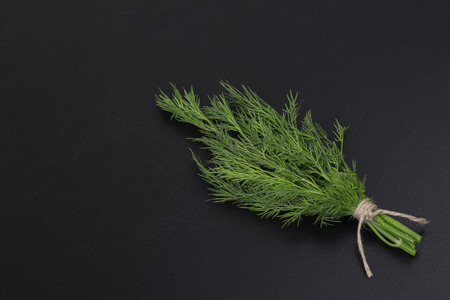 A bunch of fresh dill tied with a rope on a black backgroundの写真素材