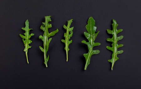 Ruccola leaves isolated on black chalkboard backgroundの写真素材