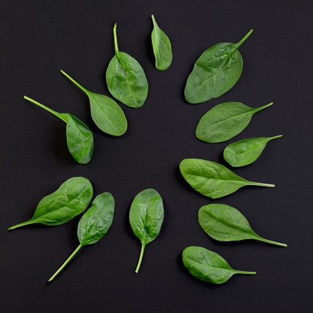 Lettuce leaves isolated on a black background chalkboardの写真素材
