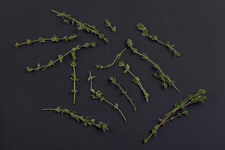 Thyme branches isolated on a blackboard backgroundの写真素材