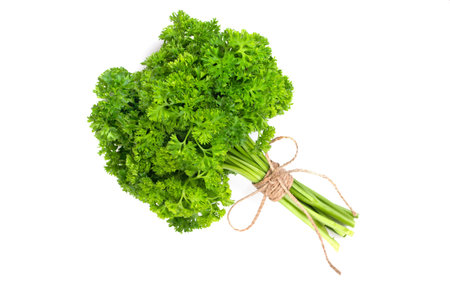 A bunch of curly parsley bandaged with a rope with a bow isolated on a white backgroundの写真素材