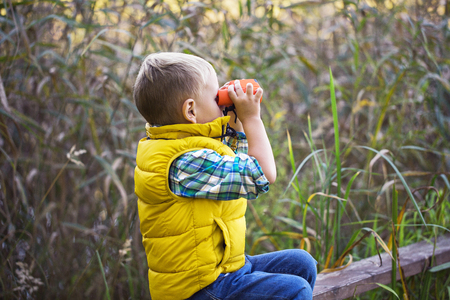 Little boy with binoculars sitting on a wooden fence in the reeds on the lake and exploring the environment warm autumn dayの写真素材