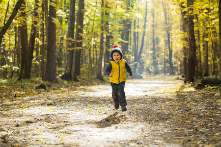 Little happy boy in knitted hat with pompon runs along the path in autumn park on a sunny dayの写真素材