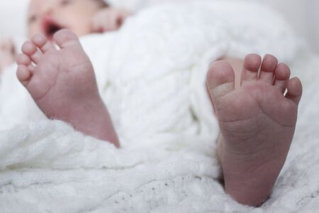 Foot of the newborn 3の写真素材
