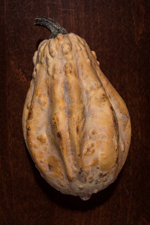 Top view of a dry pumpkin on wooden surfaceの写真素材