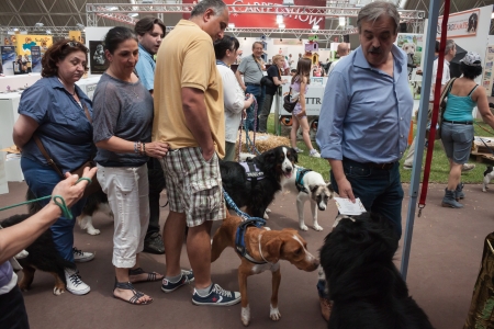 MILAN, ITALY - JUNE 8: People and dogs visit Quattrozampe in fiera exhibition, important event dedicated to dogs and their owners in Milan on JUNE 8, 2013.のeditorial素材