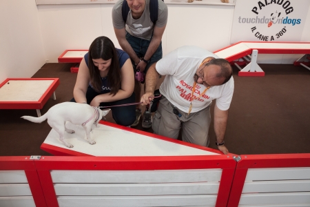 MILAN, ITALY - JUNE 8: People and dogs visit Quattrozampe in fiera exhibition, important event dedicated to dogs and their owners in Milan on JUNE 8, 2013.のeditorial素材