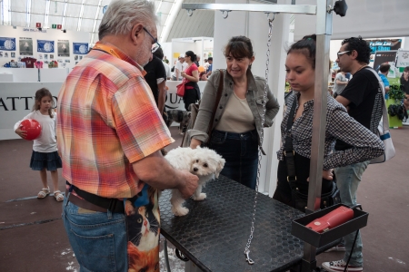 MILAN, ITALY - JUNE 8: People and dogs visit Quattrozampe in fiera exhibition, important event dedicated to dogs and their owners in Milan on JUNE 8, 2013.のeditorial素材